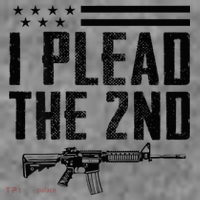 I Plead The 2nd Amendment Pro Gun Ar15 Rifle Toddler Hoodie thumb 2