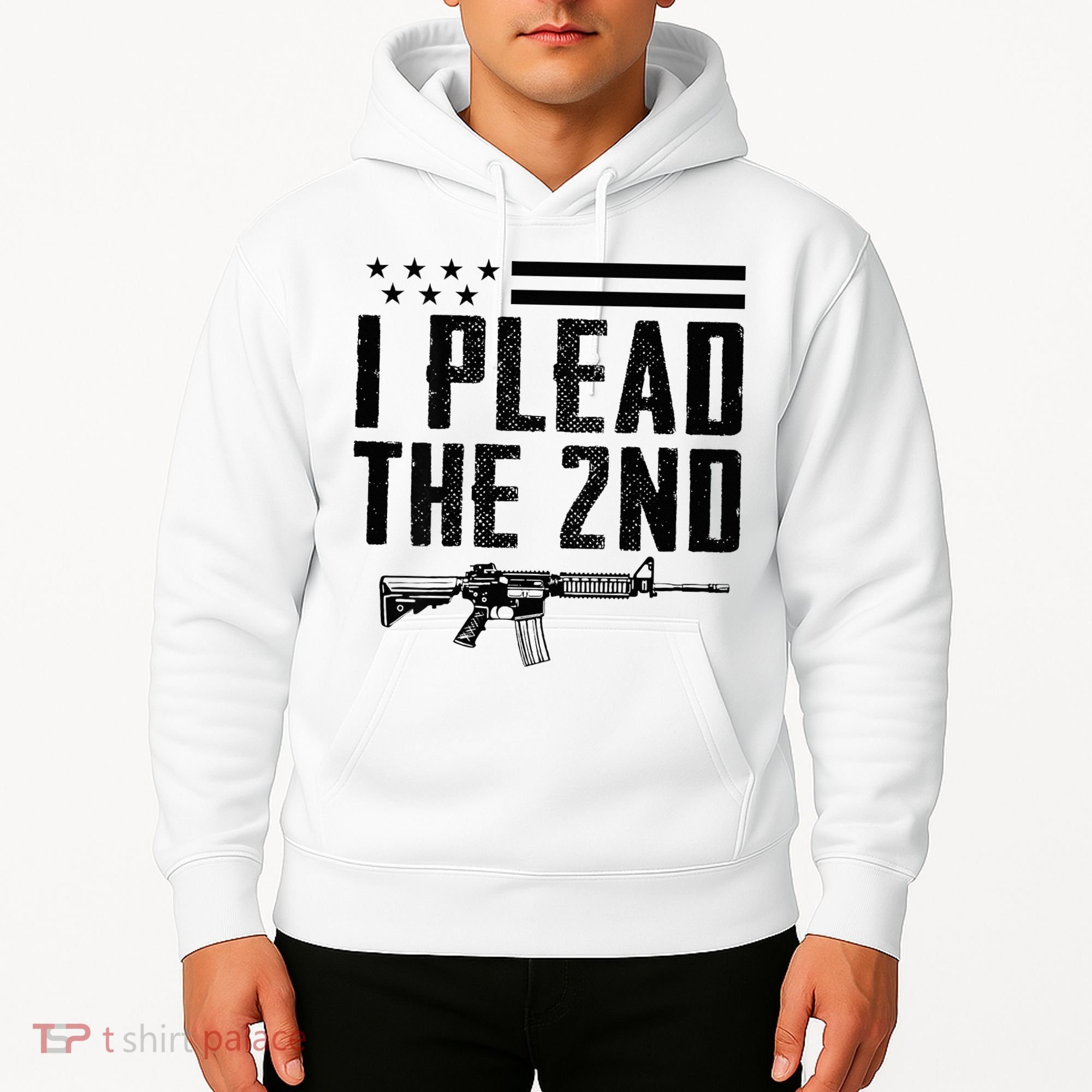 I Plead The 2nd Amendment Pro Gun Ar15 Rifle Hoodie