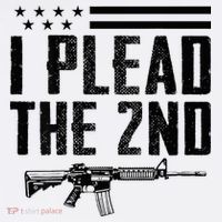 I Plead The 2nd Amendment Pro Gun Ar15 Rifle Beanie thumb 2