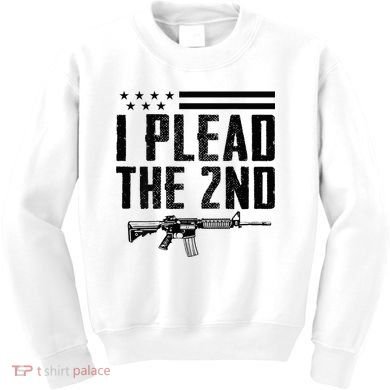 I Plead The 2nd Amendment Pro Gun Ar15 Rifle Kids Sweatshirt