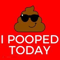 I Pooped Today Funny Poop Santa Hat thumb 1