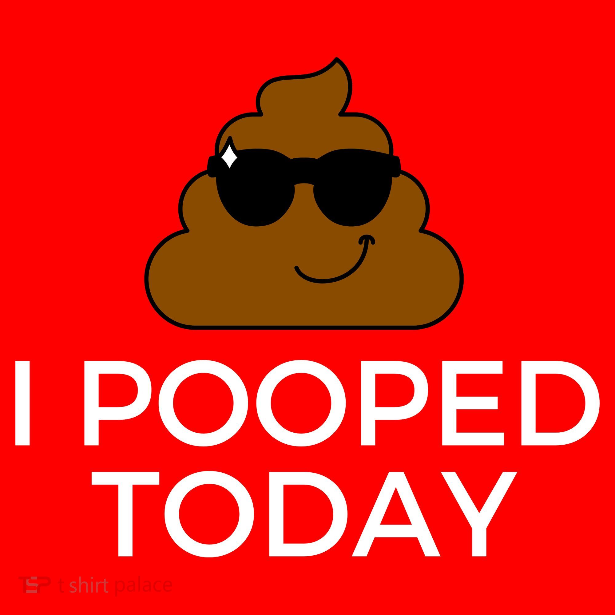 I Pooped Today Funny Poop Santa Hat
