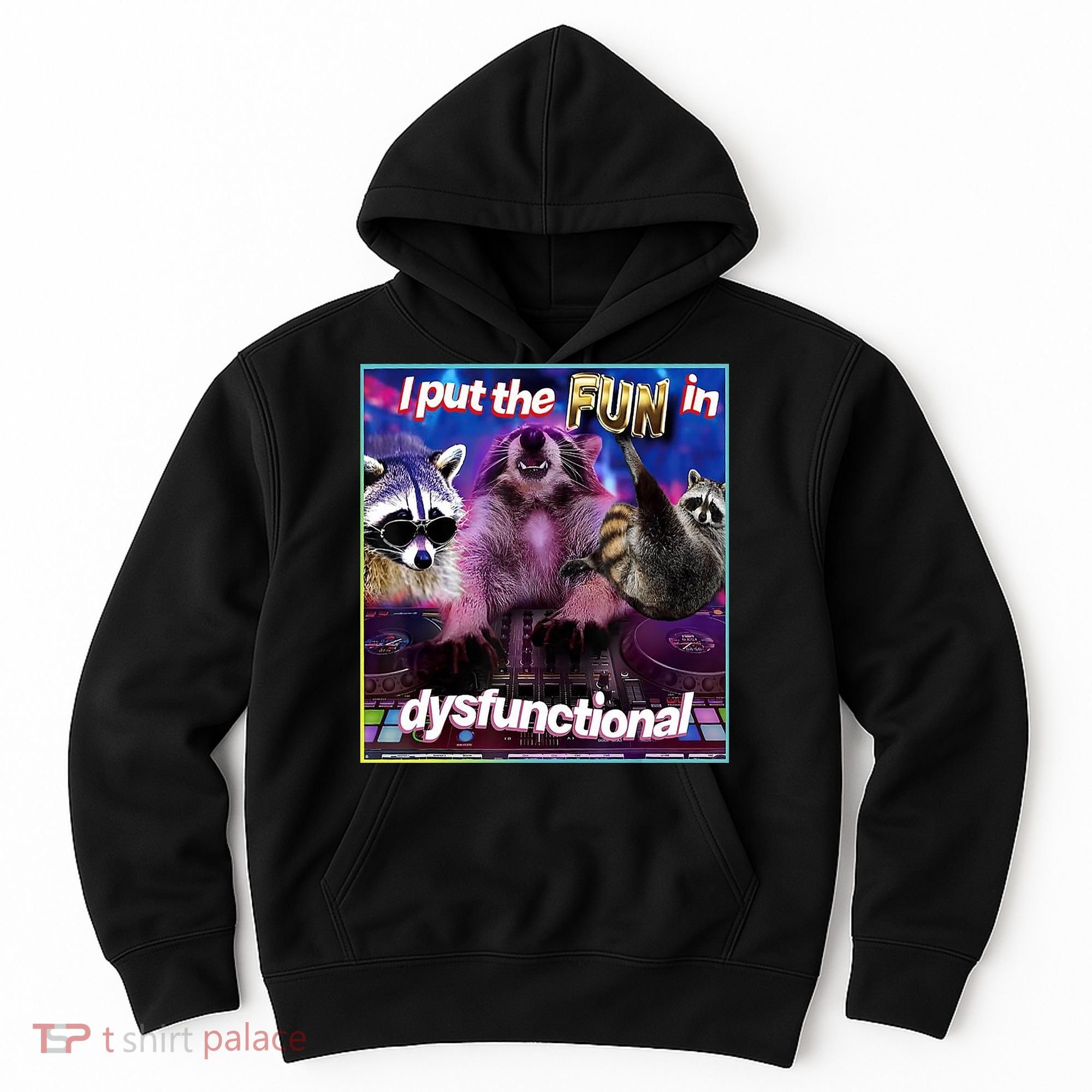 I Put The Sun Dysfunctional Racoon Meme Hoodie