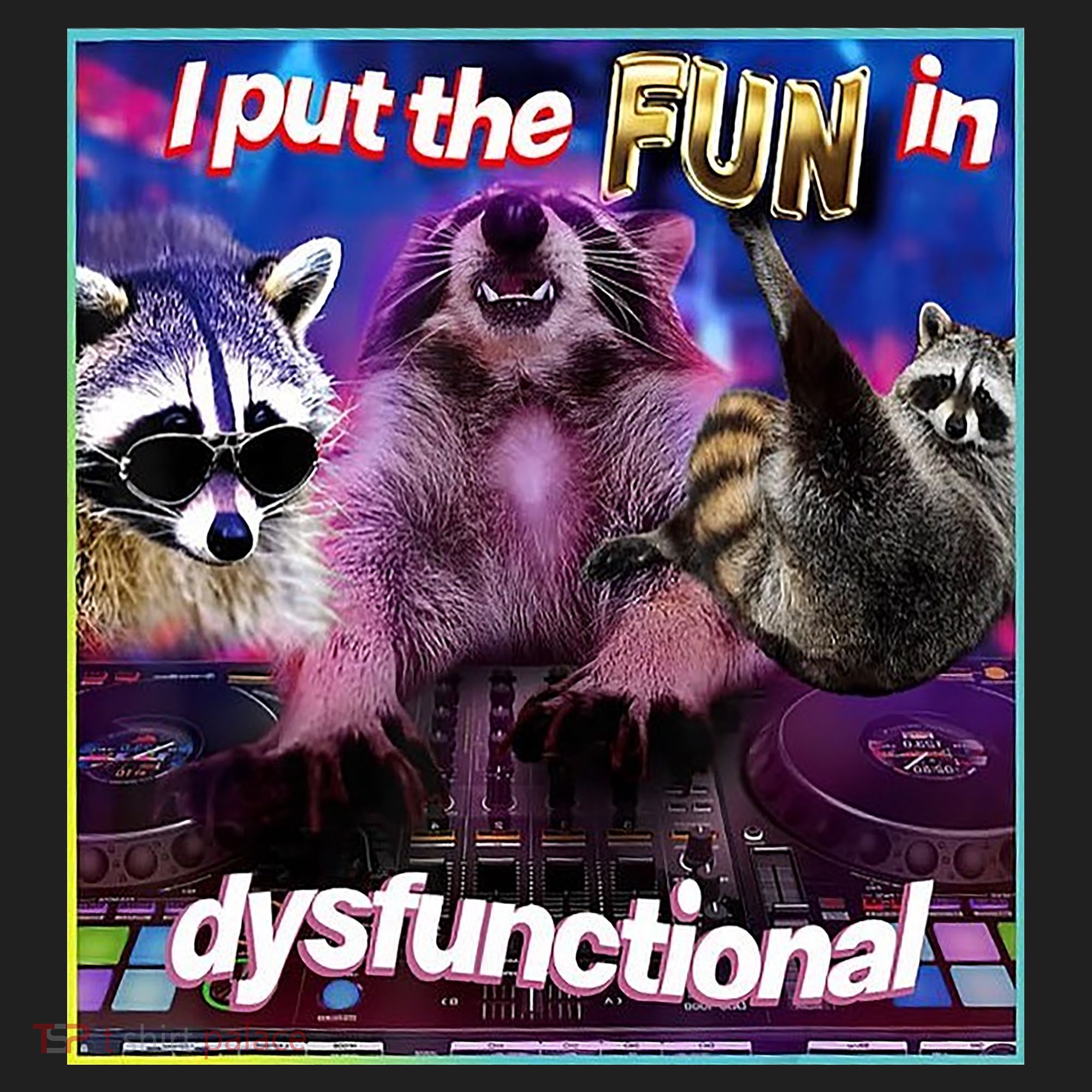 I Put The Sun Dysfunctional Racoon Meme Tumbler