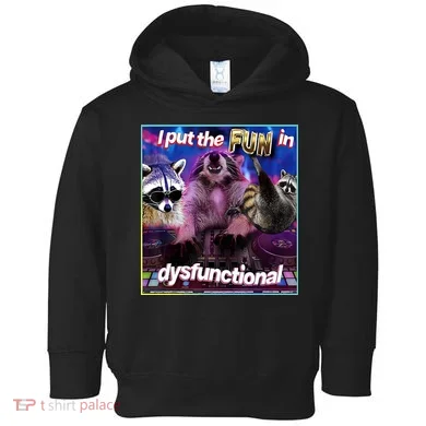 I Put The Sun Dysfunctional Racoon Meme Toddler Hoodie