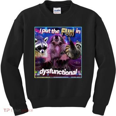 I Put The Sun Dysfunctional Racoon Meme Kids Sweatshirt
