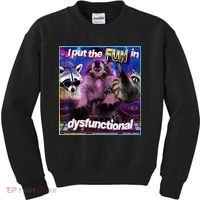 I Put The Sun Dysfunctional Racoon Meme Kids Sweatshirt thumb 0
