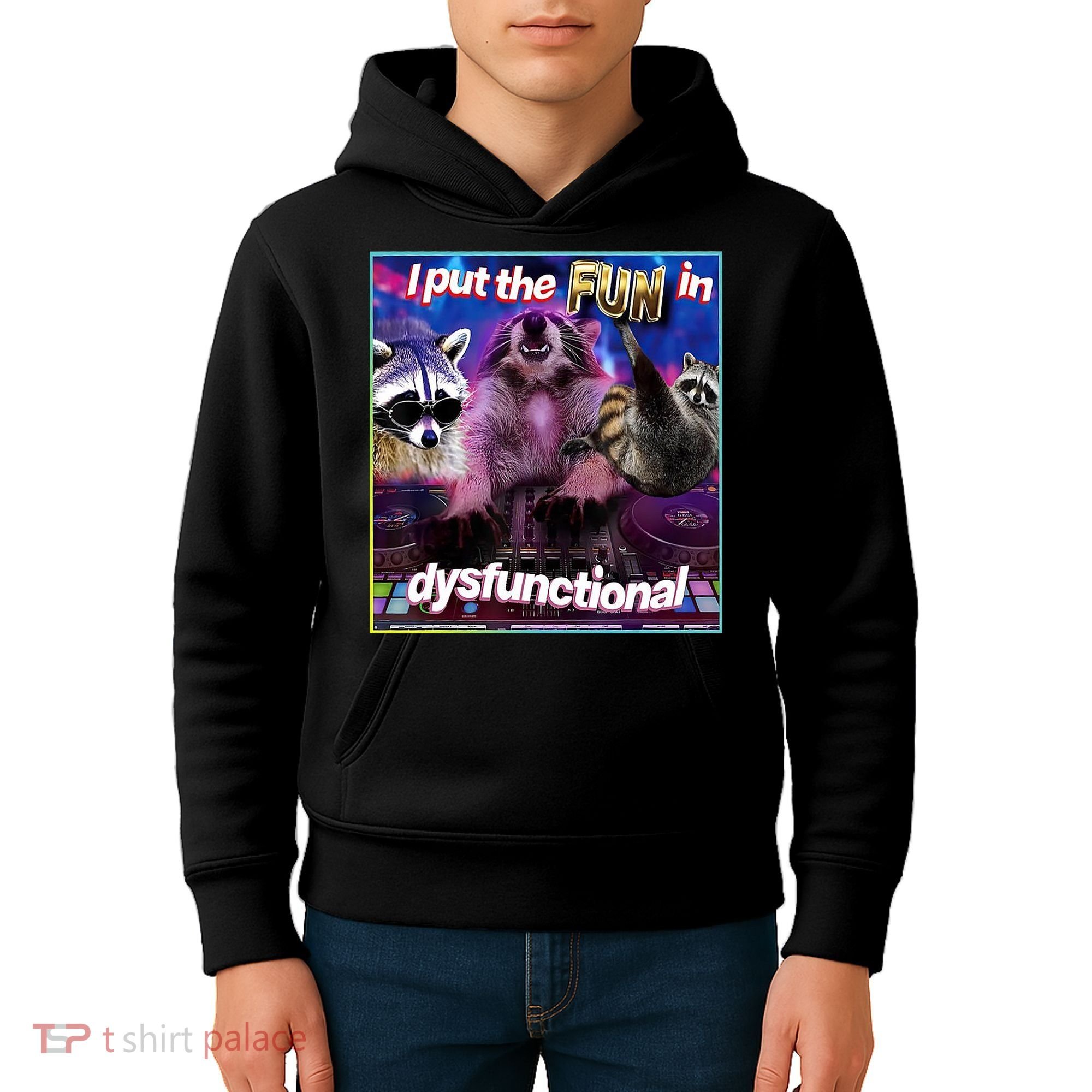 I Put The Sun Dysfunctional Racoon Meme Kids Hoodie