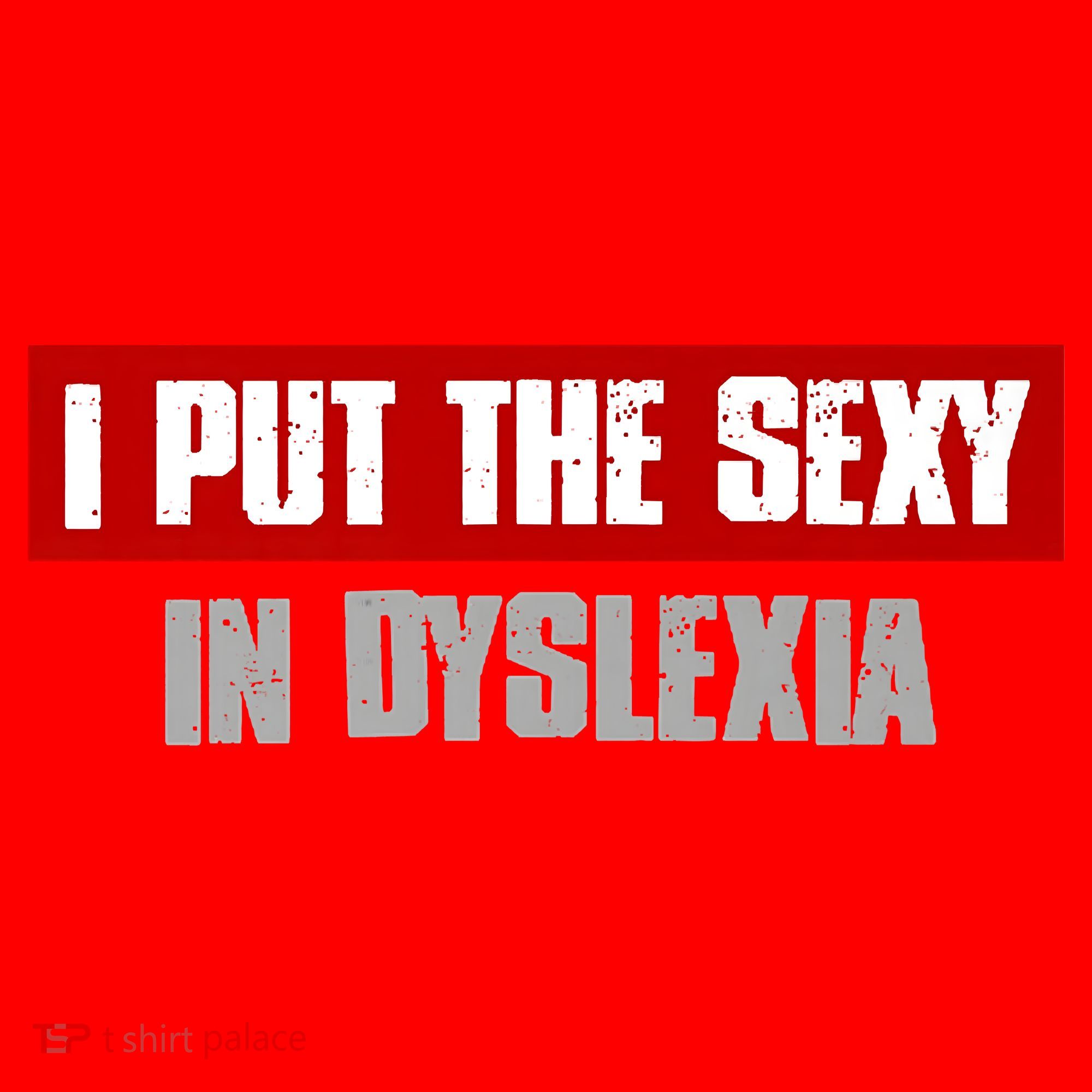 I PUT THE SEXY IN DYSLEXIA Funny Sarcastic Playful Witty Santa Hat