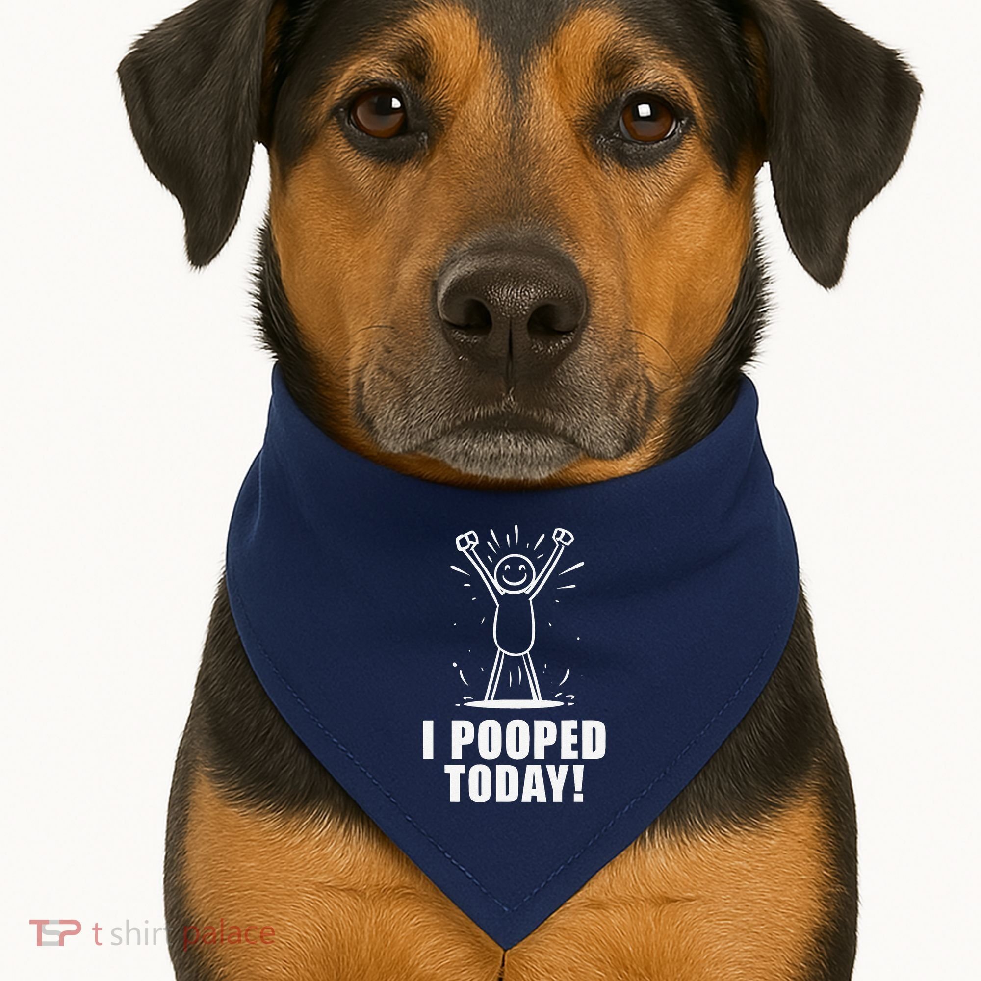 I Pooped Today USA-Made Doggie Bandana