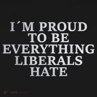 Im Proud To Be Everything Liberals Hate Anti Social Hoodie thumb 7