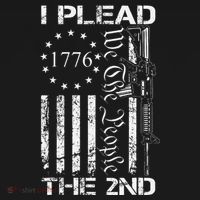 I Plead The 2nd Amendment We The People Usa Ar15 Pro Gun Women's Hoodie thumb 2