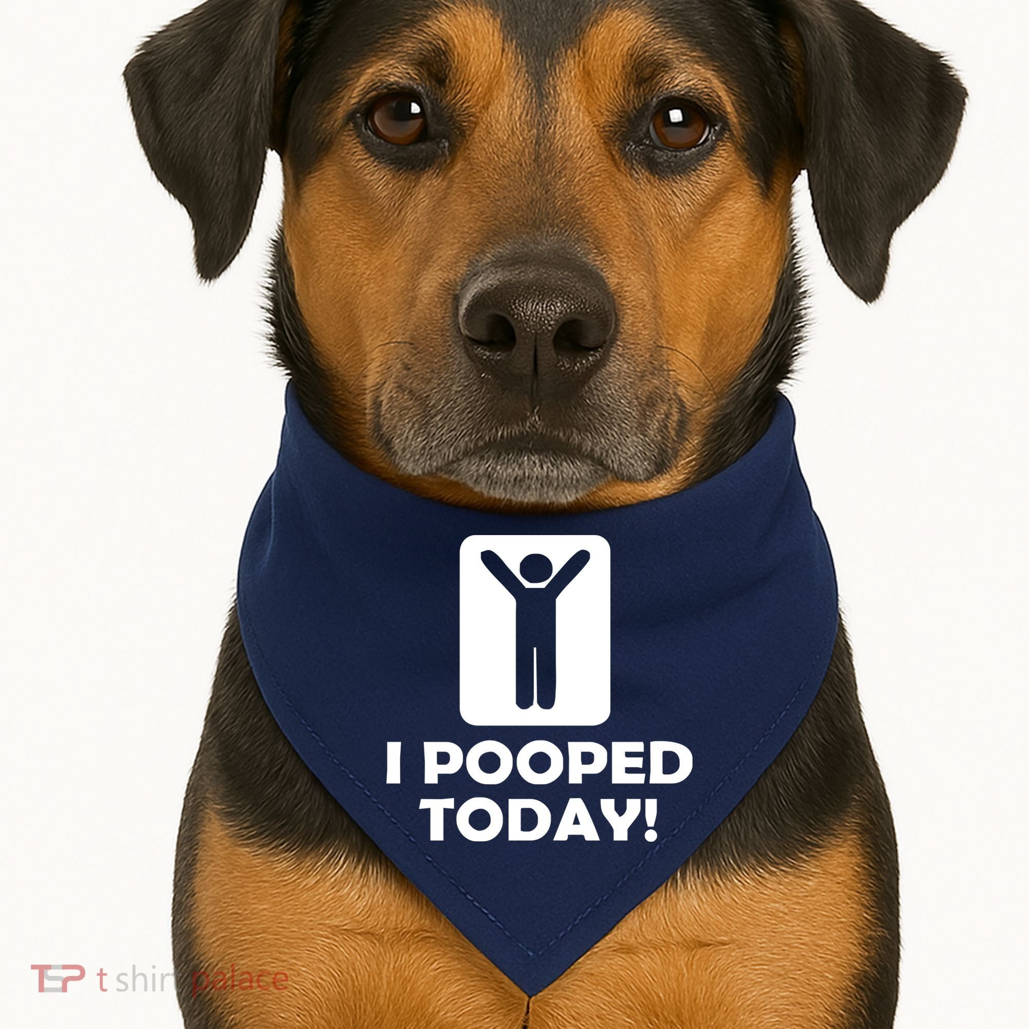 I POOPED TODAY USA-Made Doggie Bandana