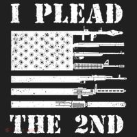I Plead The 2nd Cute Gift Second Adt Funny Gift Pro Gun Gift Beanie thumb 2