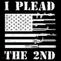 I Plead The 2nd Cute Gift Second Adt Funny Gift Pro Gun Gift Women's Hoodie thumb 2