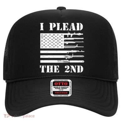 I Plead The 2nd Cute Gift Second Adt Funny Gift Pro Gun Gift Hat