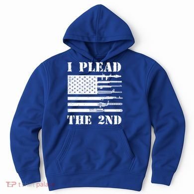 I Plead The 2nd Cute Gift Second Adt Funny Gift Pro Gun Gift Hoodie