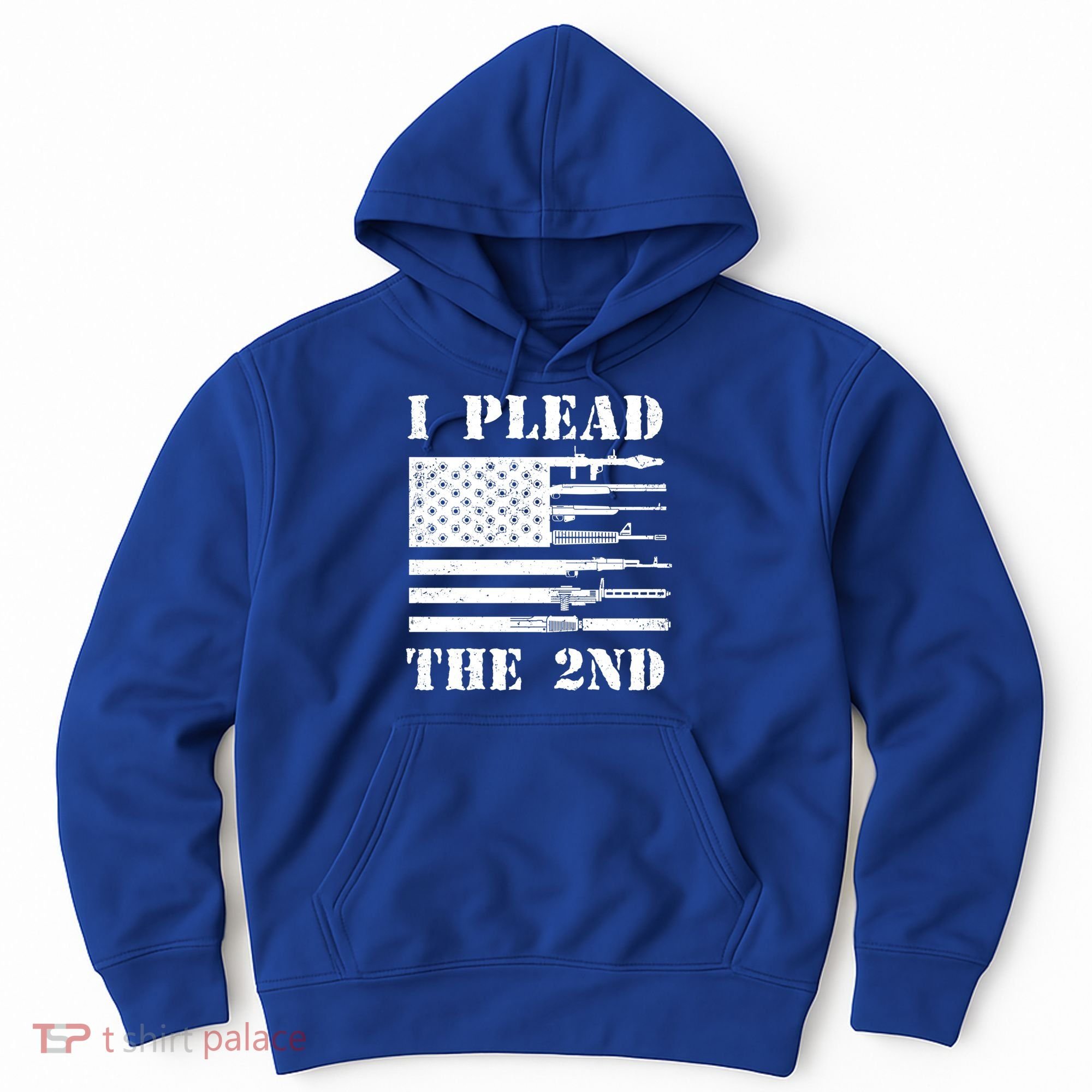 I Plead The 2nd Cute Gift Second Adt Funny Gift Pro Gun Gift Hoodie