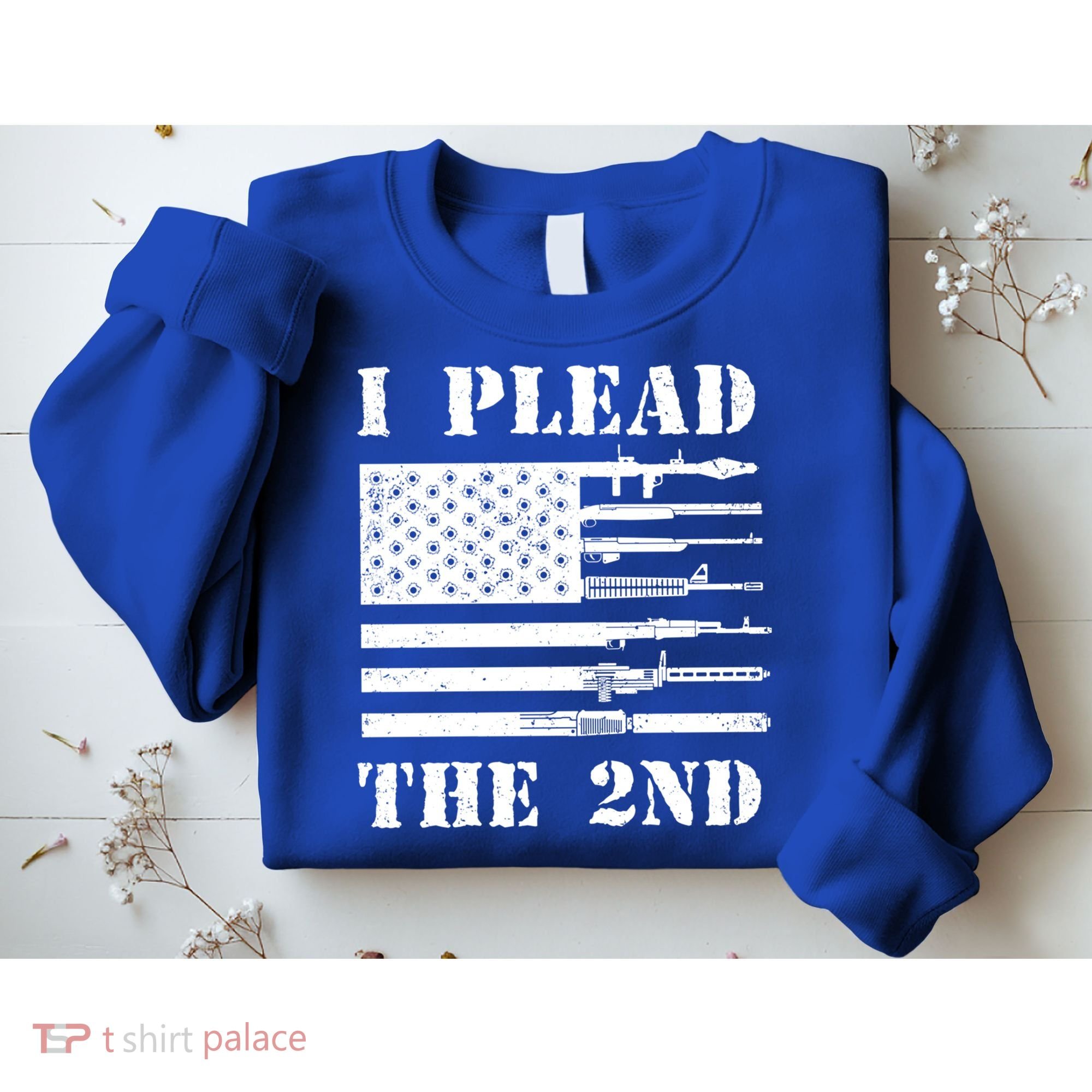I Plead The 2nd Cute Gift Second Adt Funny Gift Pro Gun Gift Sweatshirt