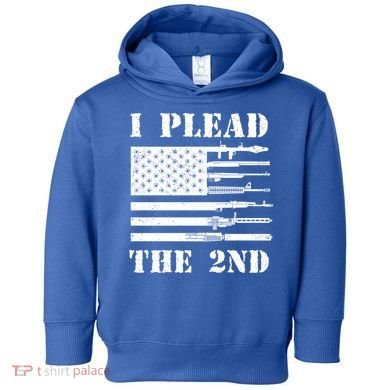 I Plead The 2nd Cute Gift Second Adt Funny Gift Pro Gun Gift Toddler Hoodie