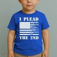 I Plead The 2nd Cute Gift Second Adt Funny Gift Pro Gun Gift Toddler T-Shirt thumb 2