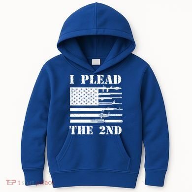 I Plead The 2nd Cute Gift Second Adt Funny Gift Pro Gun Gift Kids Hoodie