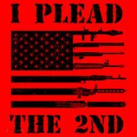 I Plead The 2nd Cute Gift Second Adt Funny Gift Pro Gun Gift Santa Hat thumb 1