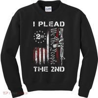 I Plead The 2nd We The People USA Flag AR 15 Rifle Kids Sweatshirt thumb 0