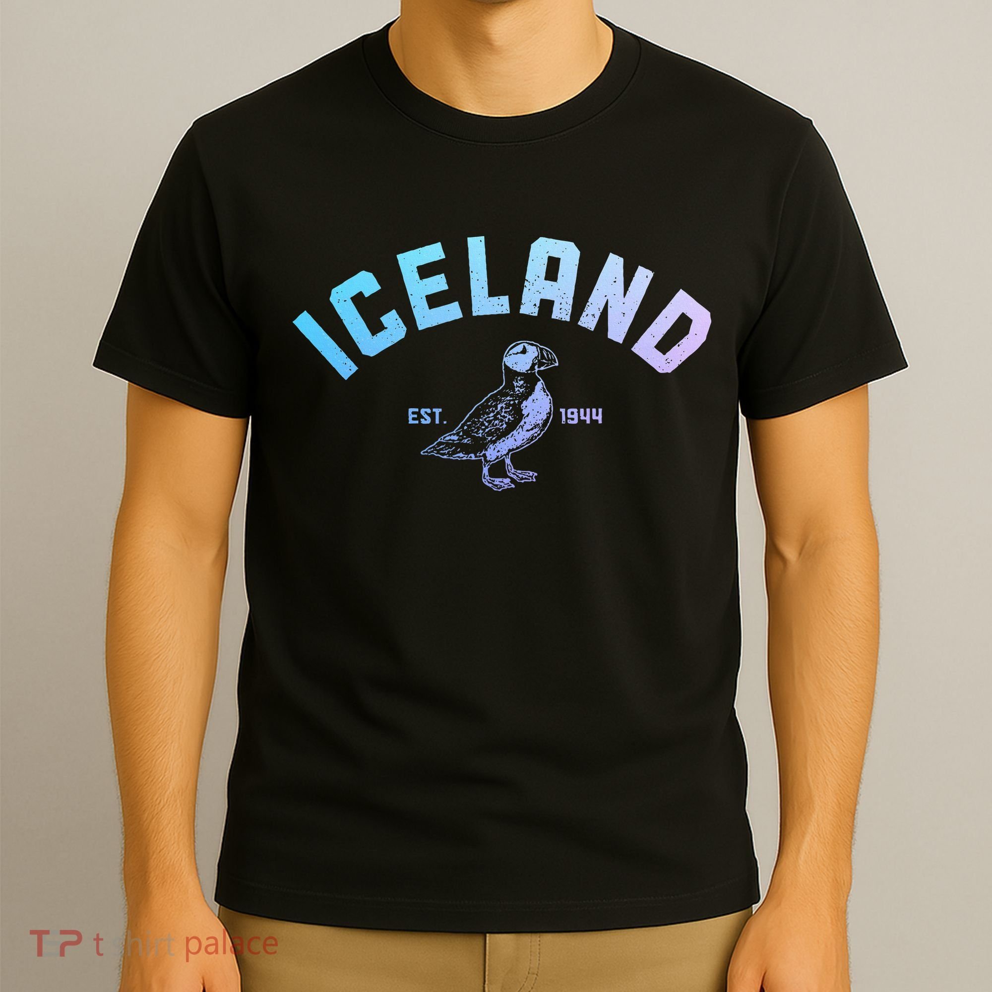 Iceland Puffin Vintage Icelandic Souvenir T-Shirt