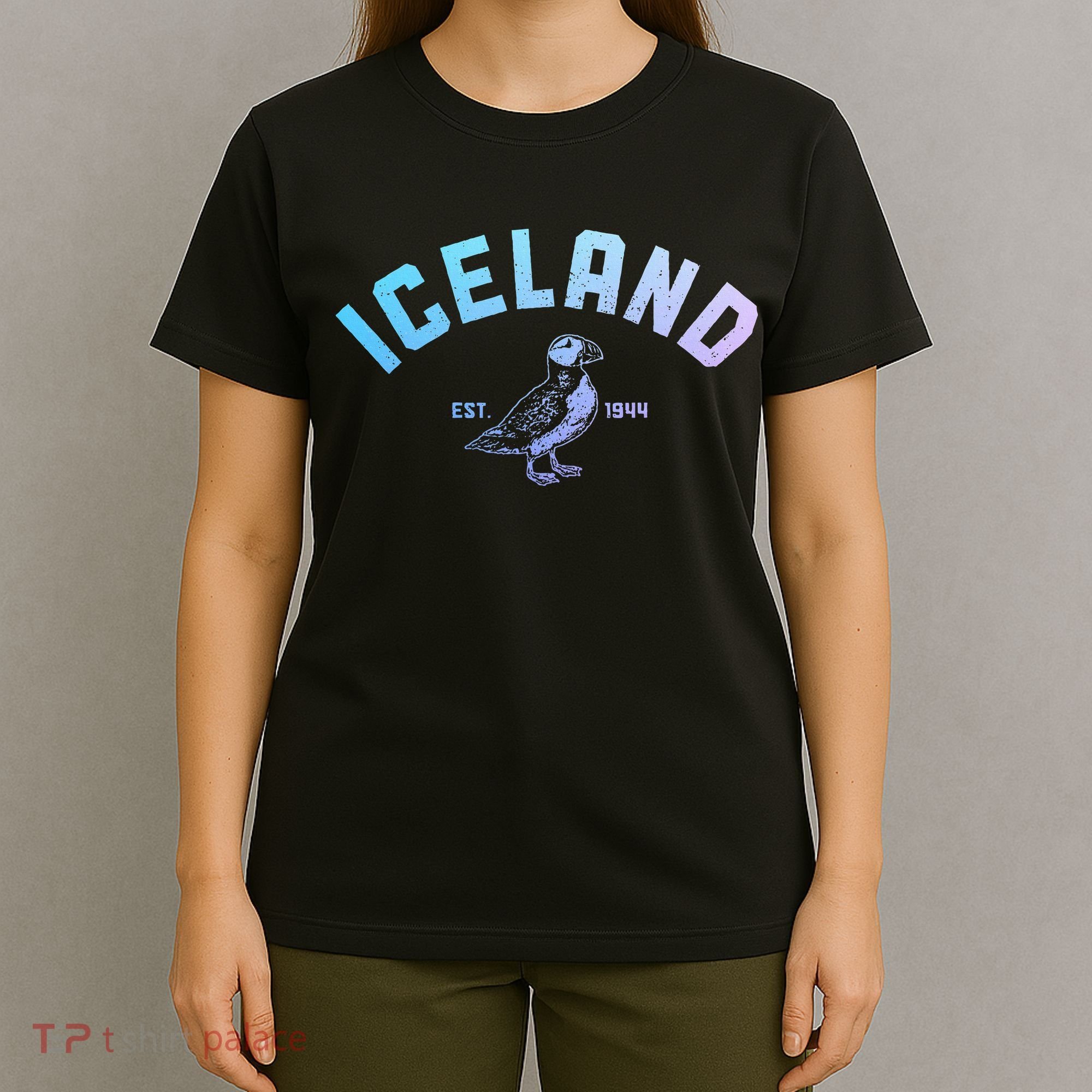 Iceland Puffin Vintage Icelandic Souvenir T-Shirt