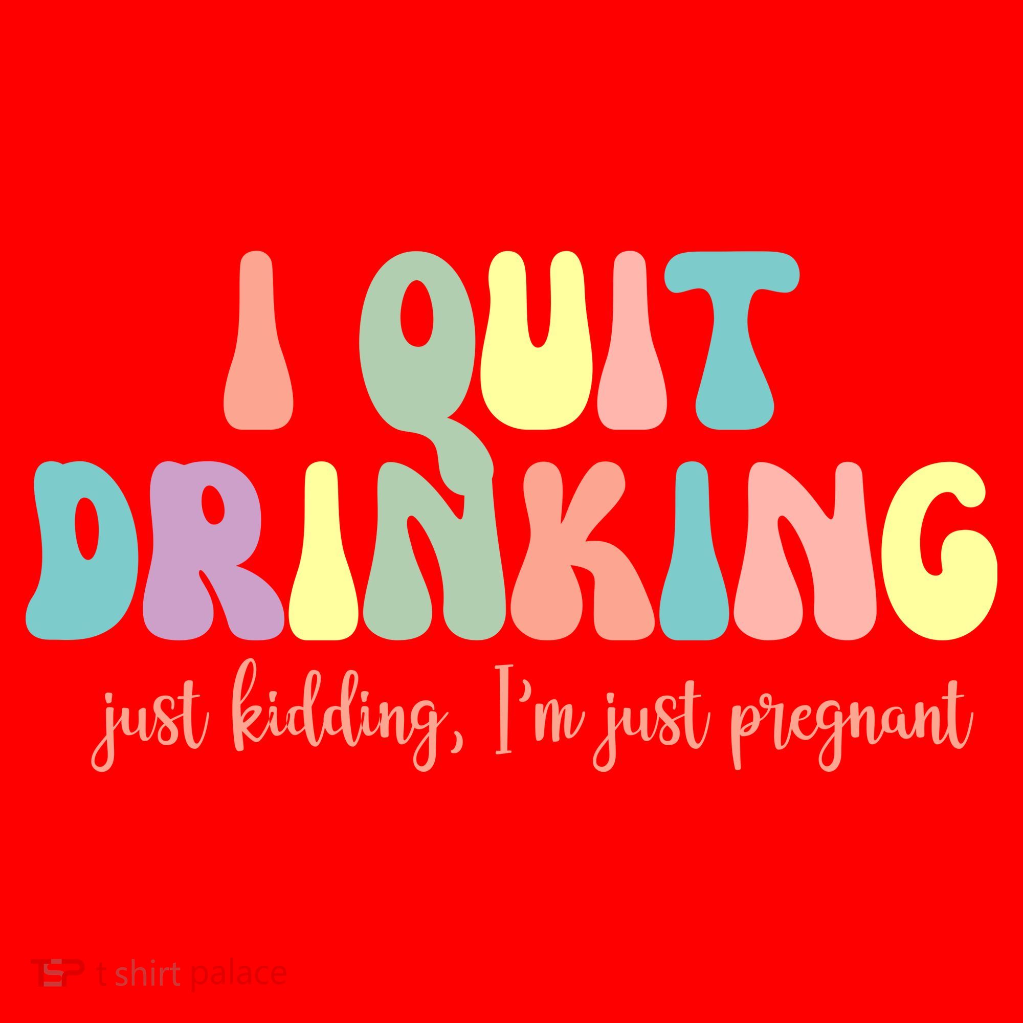 I Quit Drinking Just Kidding I'm Pregnant Funny Santa Hat