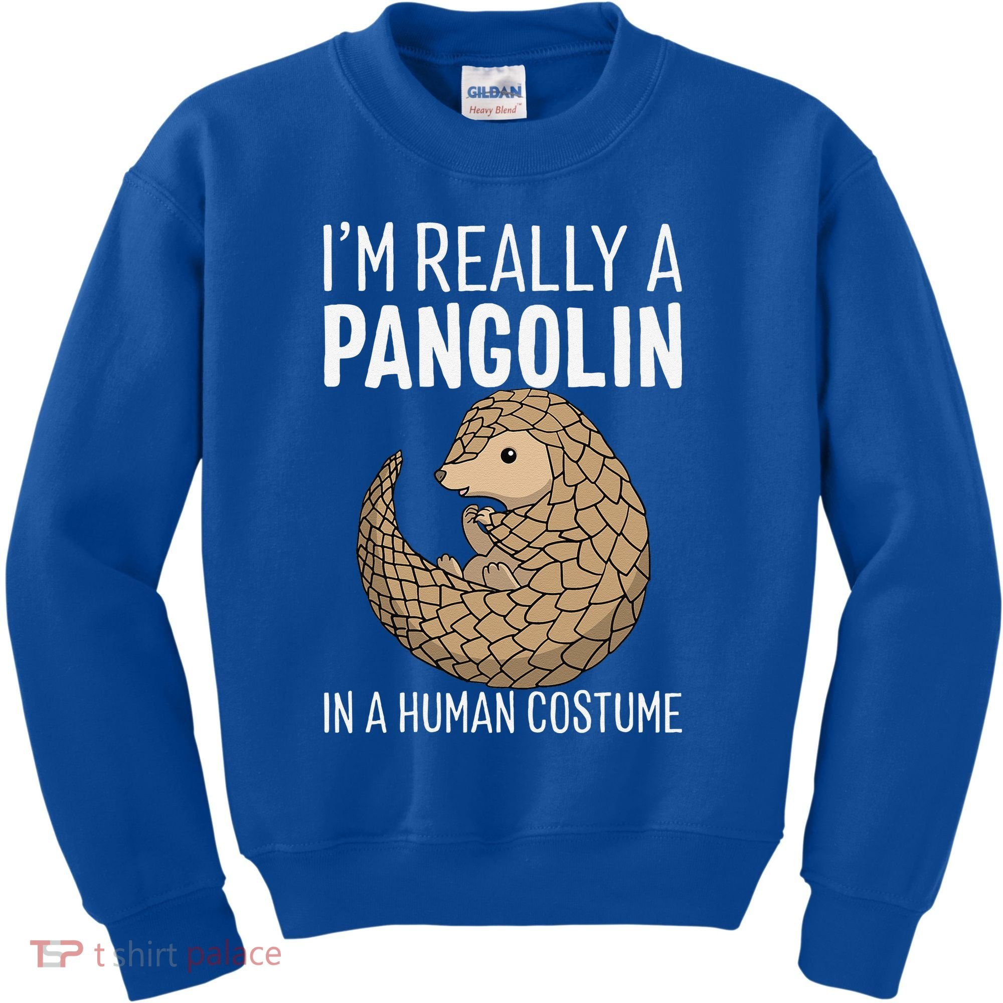 Im Really A Pangolin In A Human Costume Halloween Kids Sweatshirt