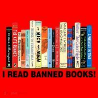I Read Banned Books Santa Hat thumb 1