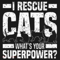 I Rescue Cats What´s Your Superpower USA Flag Rescue Cat Women's Hoodie thumb 2
