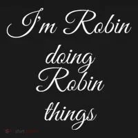 I'M ROBIN DOING ROBIN THINGS Funny Birthday Name Gift Idea Toddler Hoodie thumb 2