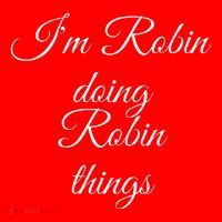 I'M ROBIN DOING ROBIN THINGS Funny Birthday Name Gift Idea Santa Hat thumb 1