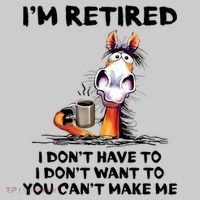 Im Retired I Dont Have To I Dont Want To Horse T-Shirt thumb 2