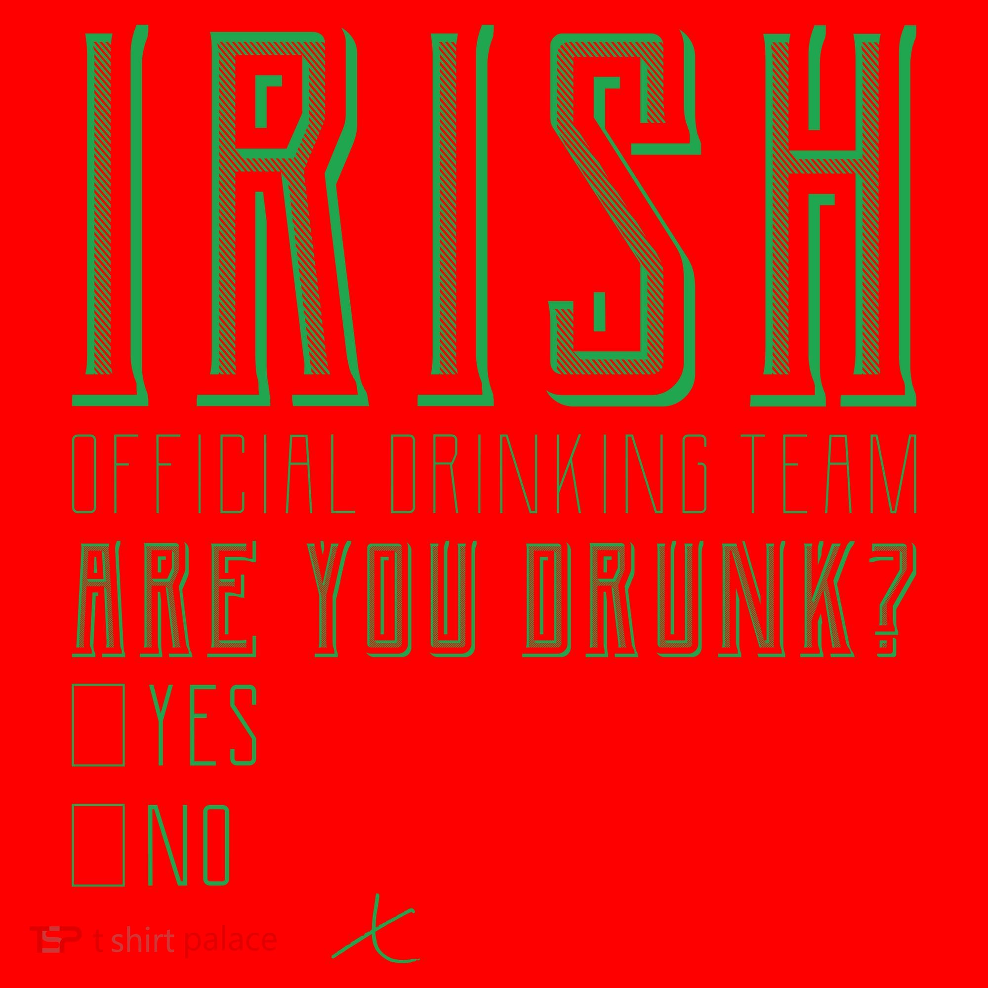 Irish Official Drinking Team Are You Drunk Santa Hat