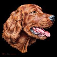 Irish Setter Portrait Coffee Mug thumb 5