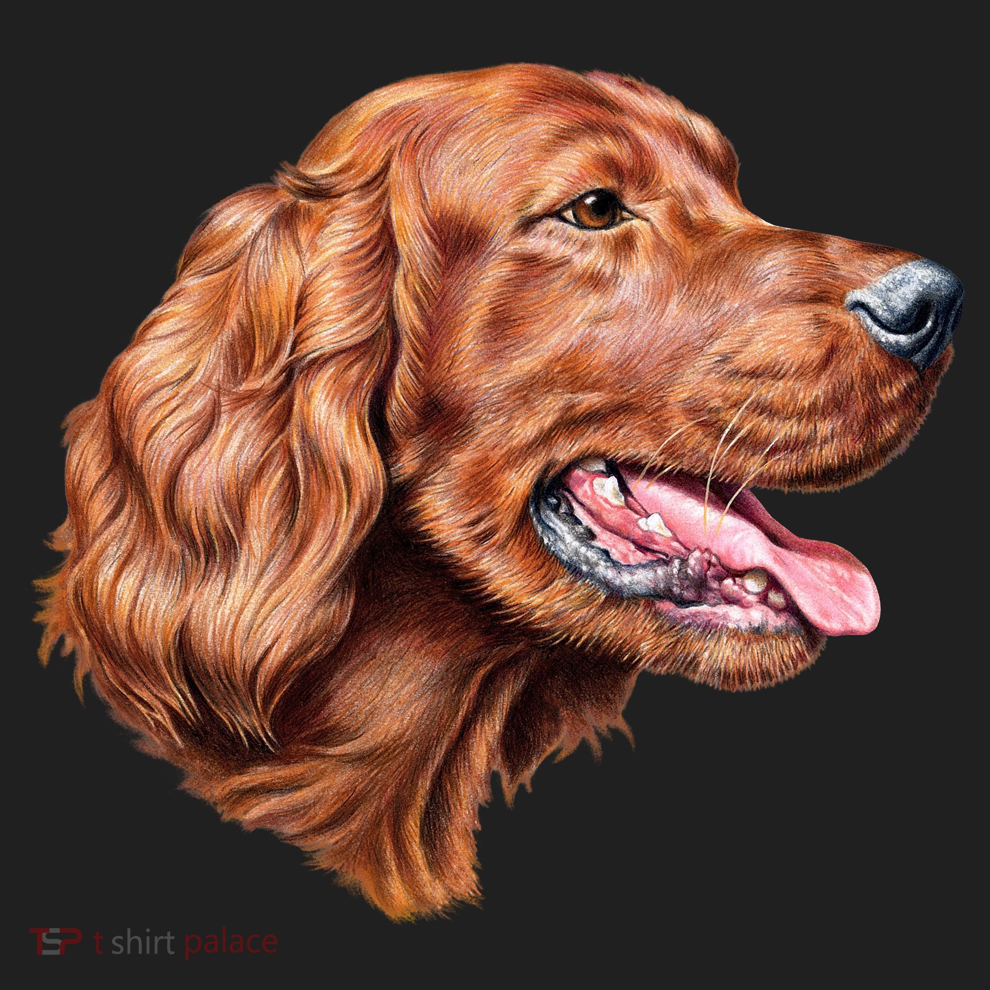 Irish Setter Portrait Tumbler