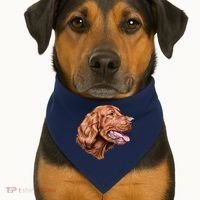 Irish Setter Portrait USA-Made Doggie Bandana thumb 1