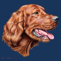 Irish Setter Portrait Visor thumb 3