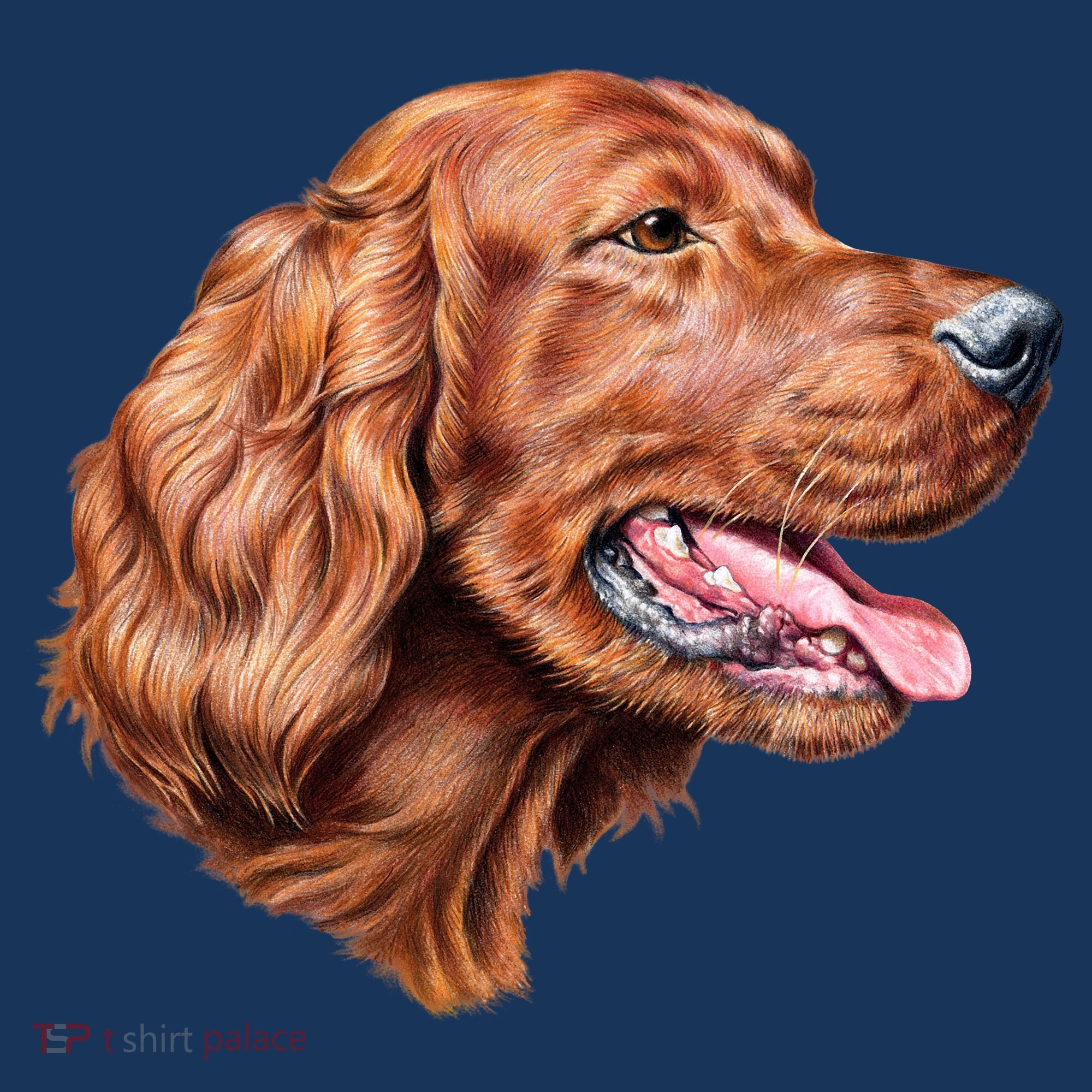 Irish Setter Portrait Kids T-Shirt