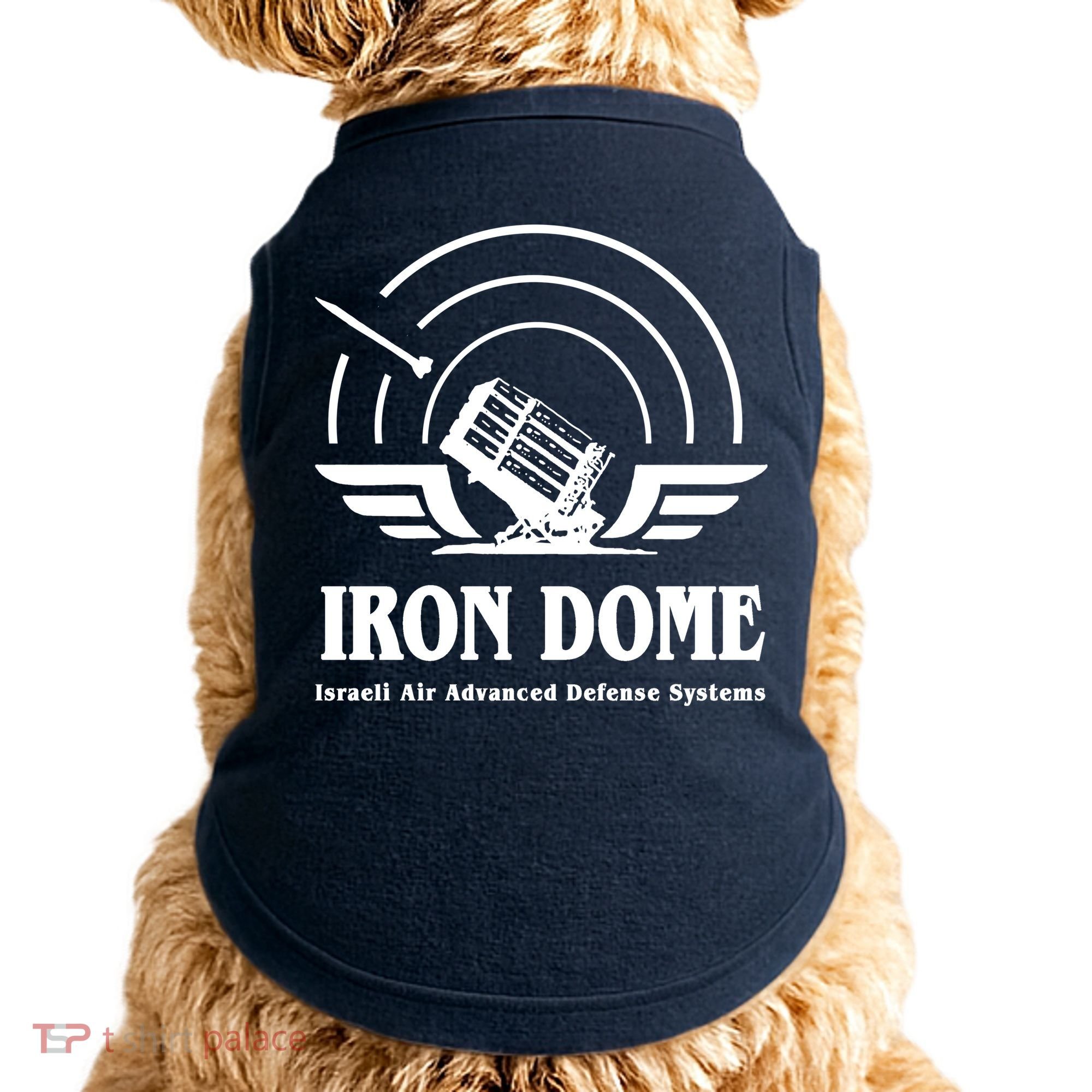 Iron Dome Israeli Air Advance Defense System Doggie Tank