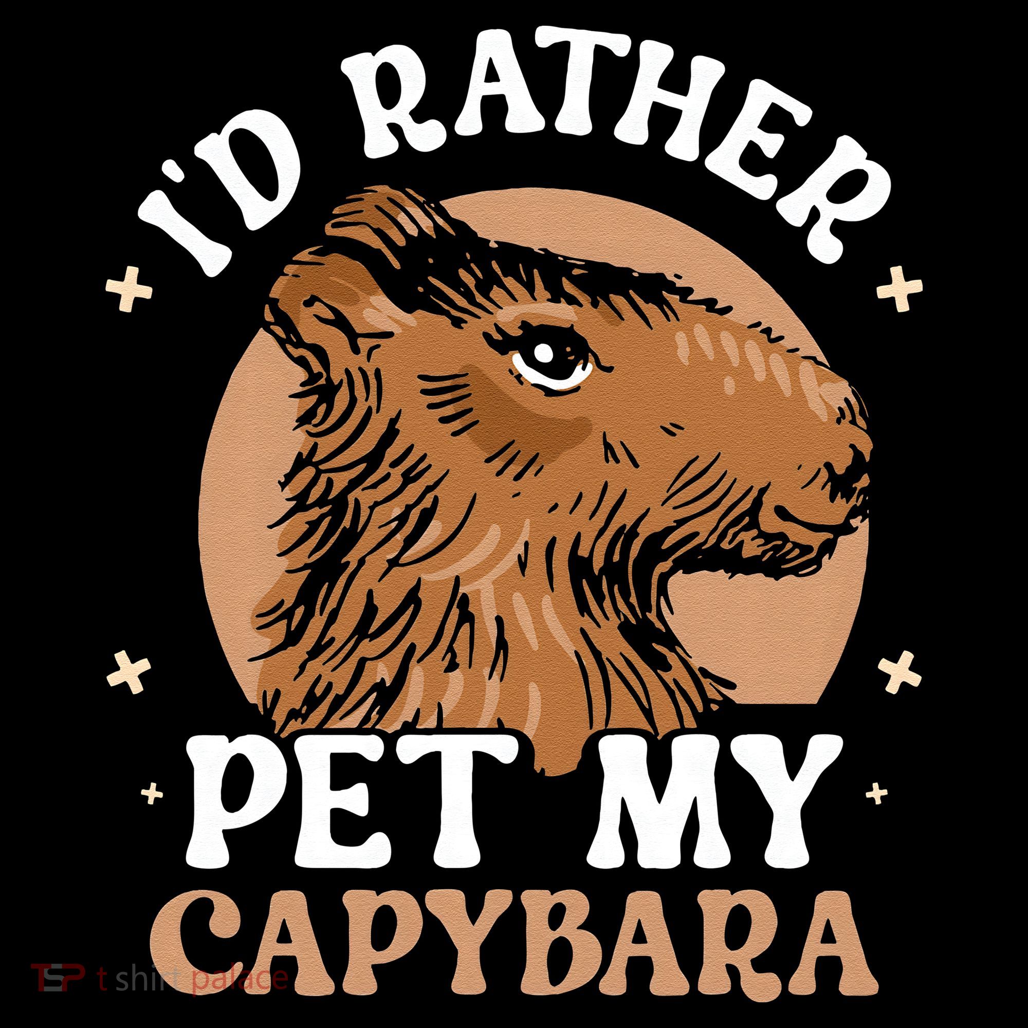 I'd Rather Pet My Capybara Animal Capybaras Rodent Lover Women's Hoodie