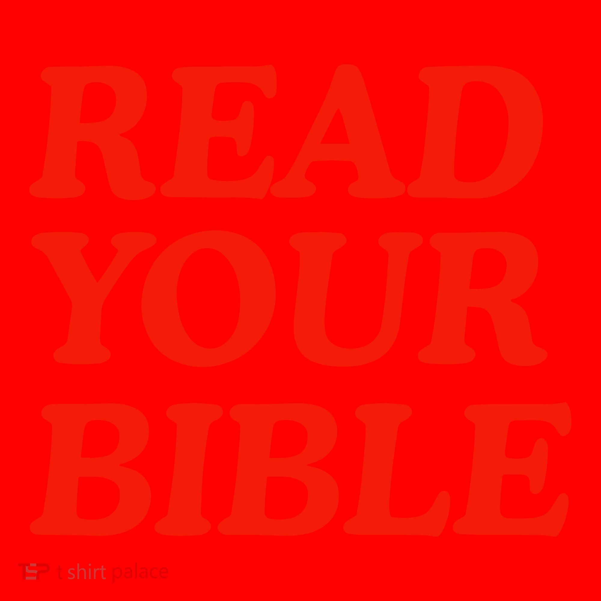 Isaiah Robin Read Your Bible Santa Hat