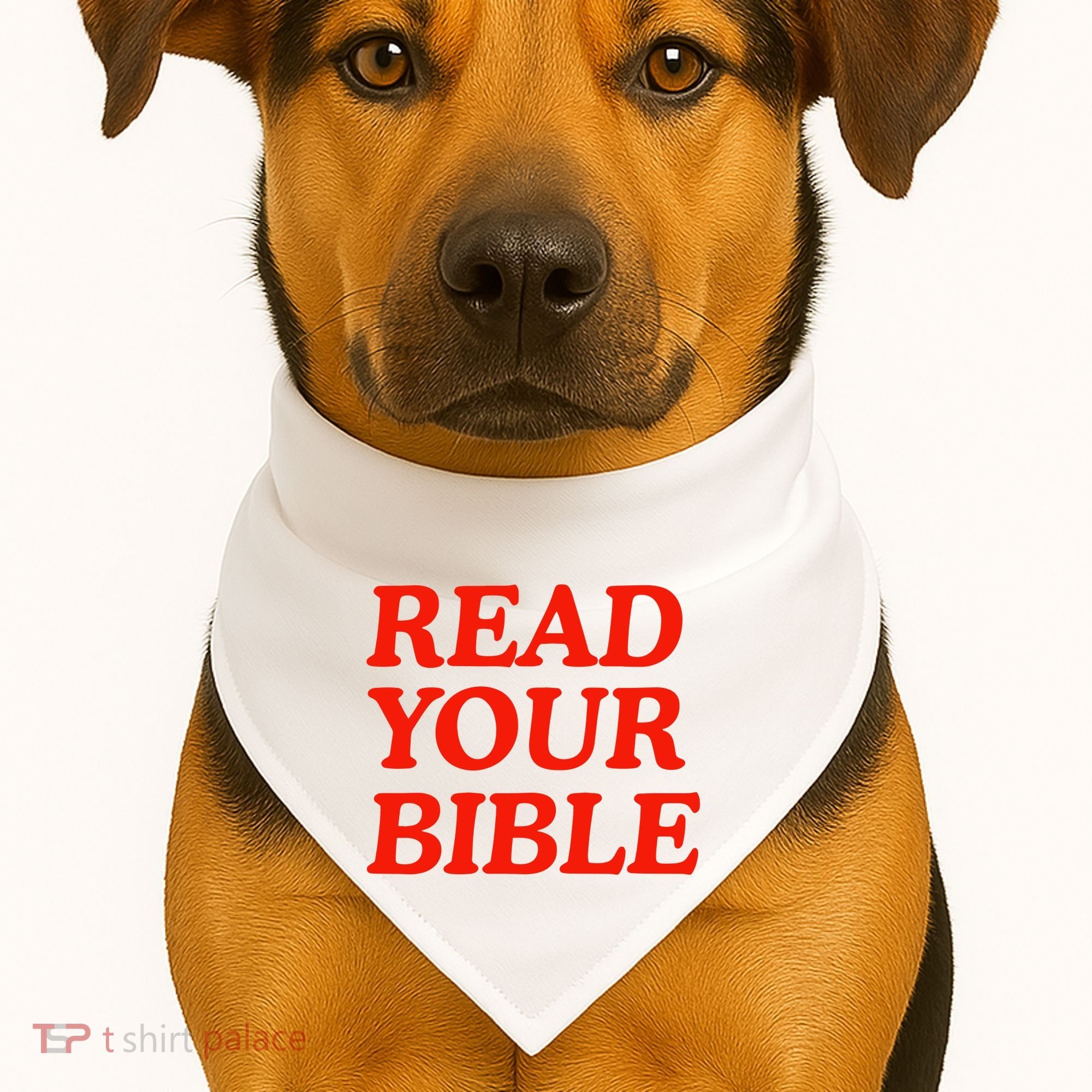 Isaiah Robin Read Your Bible USA-Made Doggie Bandana