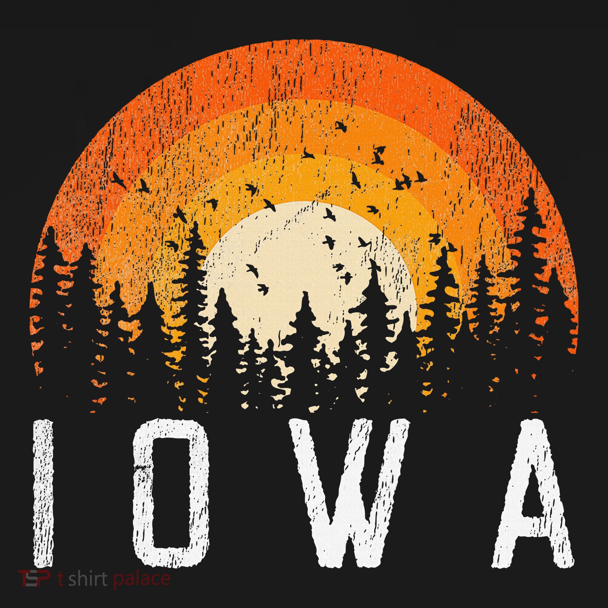 Iowa Retro Style Vintage 70s 80s 90s T-Shirt