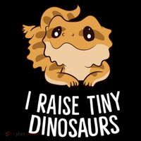 I Raise Tiny Dinosaurs Lizard Bearded Dragon Mom Gift Women's Hoodie thumb 2
