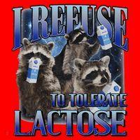 I Refuse To Tolerate Lactose Racoon Meme Lactose Intolerant Santa Hat thumb 1